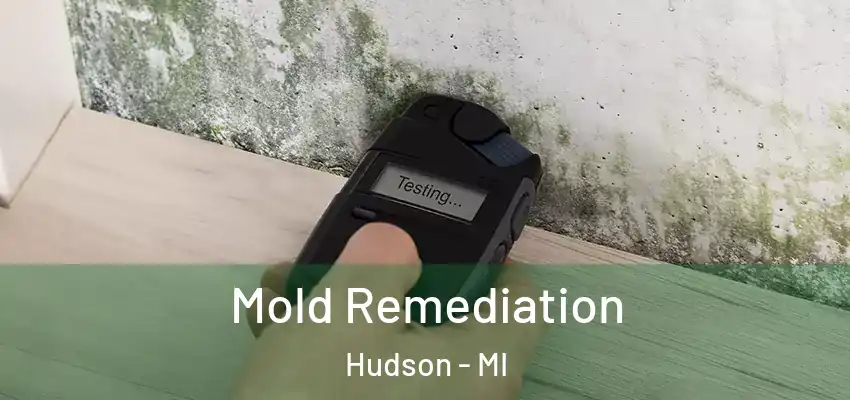 Mold Remediation Hudson - MI
