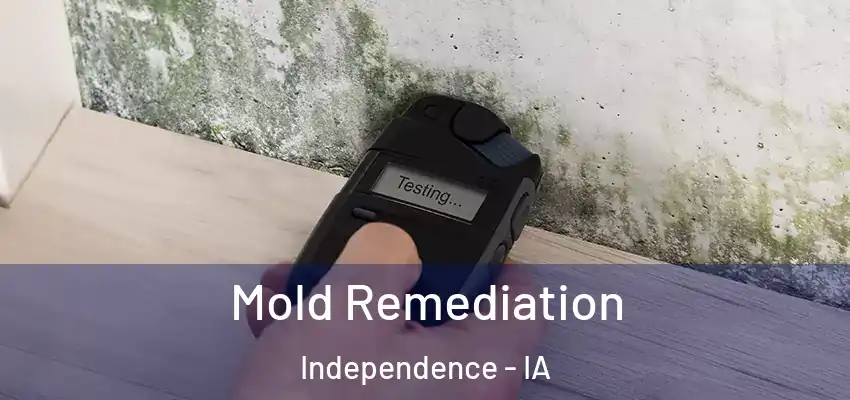  Mold Remediation Independence - IA