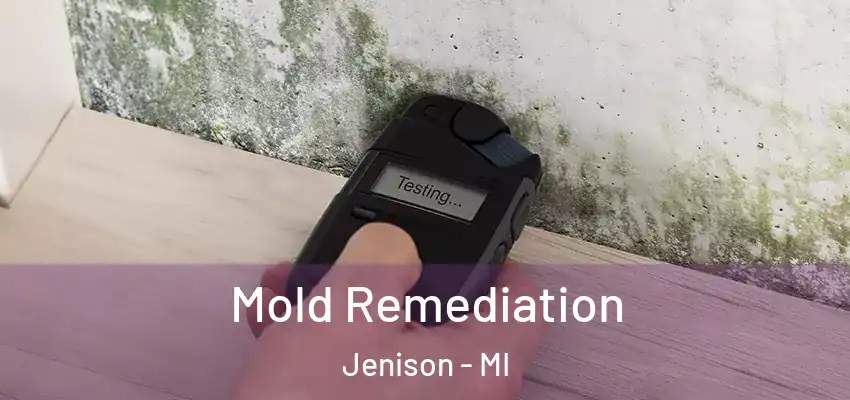  Mold Remediation Jenison - MI