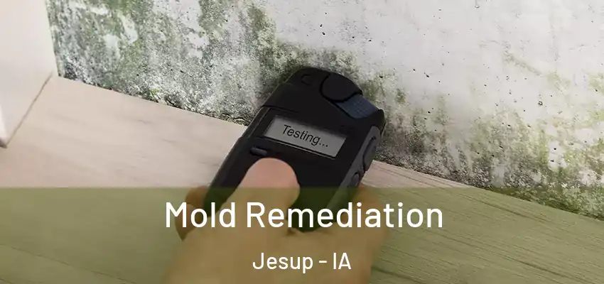  Mold Remediation Jesup - IA