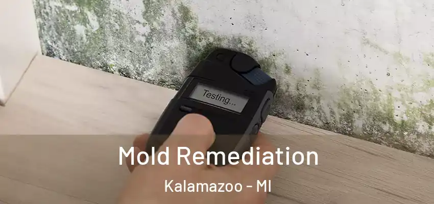  Mold Remediation Kalamazoo - MI