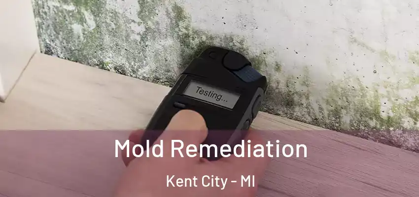  Mold Remediation Kent City - MI
