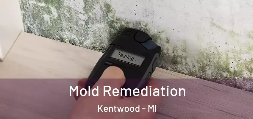 Mold Remediation Kentwood - MI
