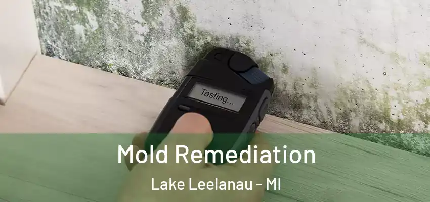  Mold Remediation Lake Leelanau - MI