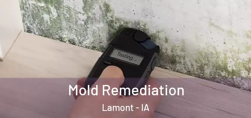  Mold Remediation Lamont - IA