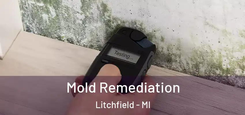  Mold Remediation Litchfield - MI