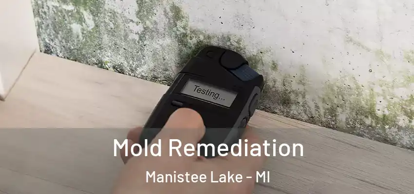 Mold Remediation Manistee Lake - MI