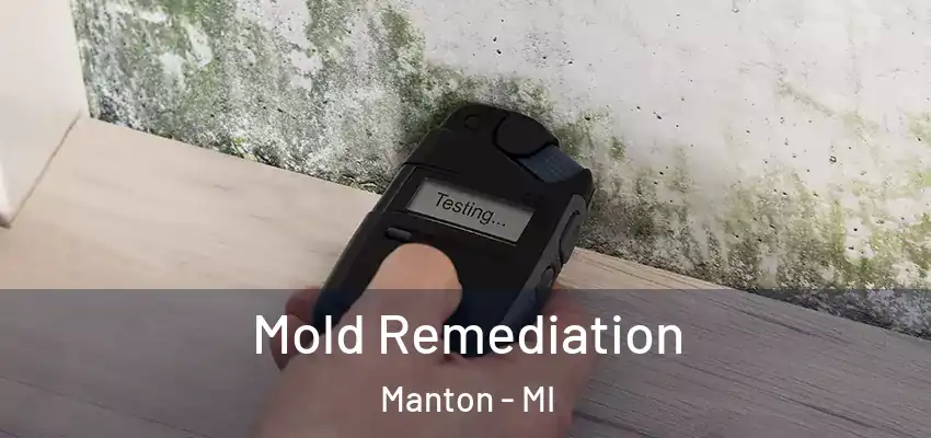 Mold Remediation Manton - MI