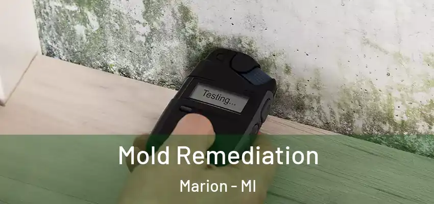 Mold Remediation Marion - MI
