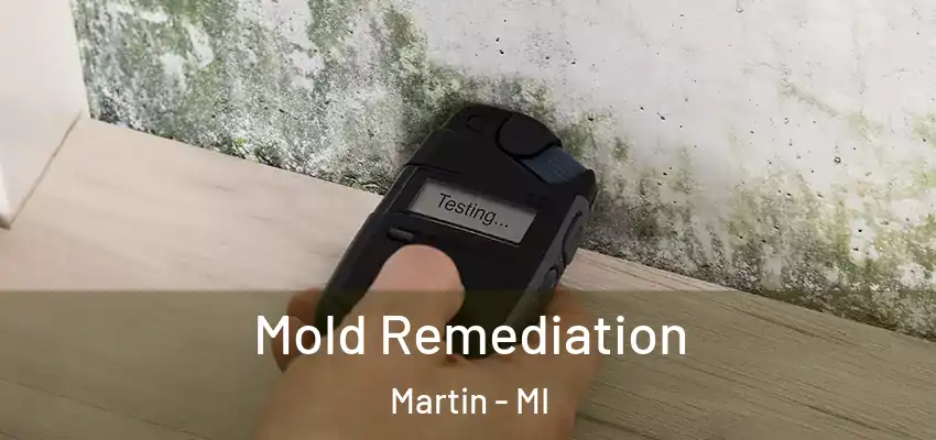  Mold Remediation Martin - MI