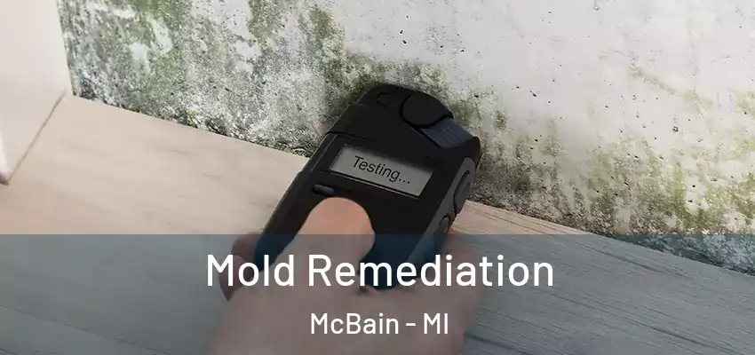 Mold Remediation McBain - MI