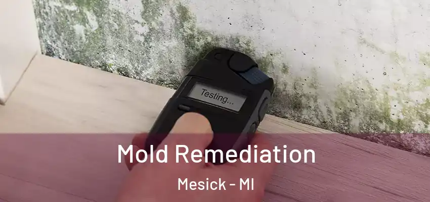 Mold Remediation Mesick - MI
