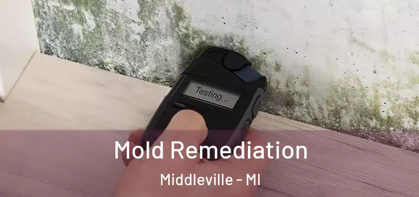  Mold Remediation Middleville - MI