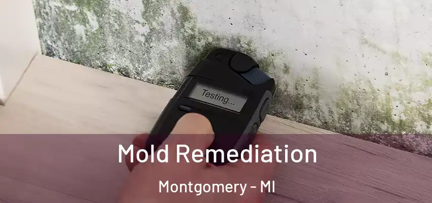  Mold Remediation Montgomery - MI