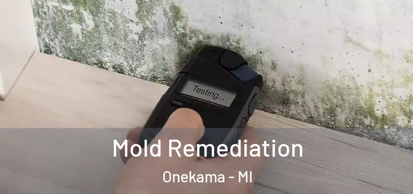Mold Remediation Onekama - MI