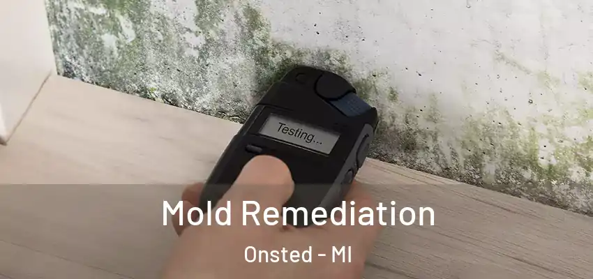  Mold Remediation Onsted - MI
