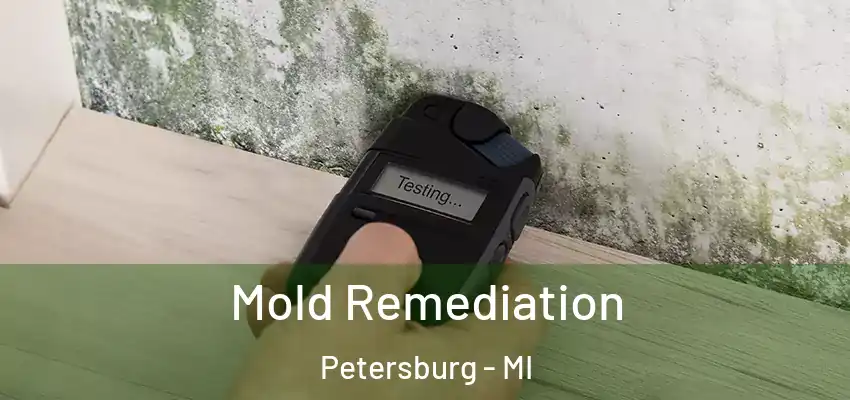 Mold Remediation Petersburg - MI