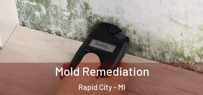  Mold Remediation Rapid City - MI