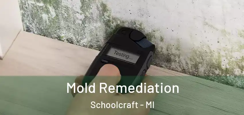 Mold Remediation Schoolcraft - MI