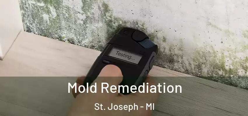  Mold Remediation St. Joseph - MI