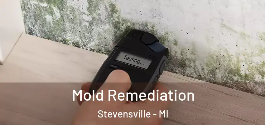  Mold Remediation Stevensville - MI