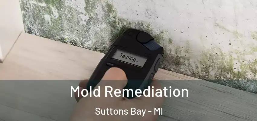  Mold Remediation Suttons Bay - MI