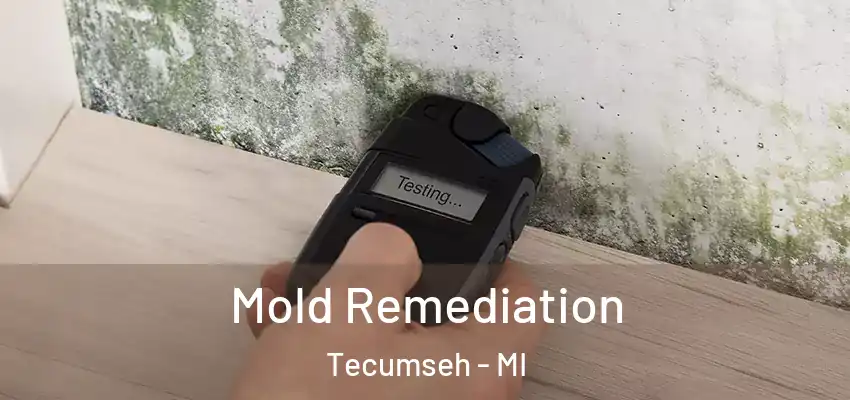  Mold Remediation Tecumseh - MI