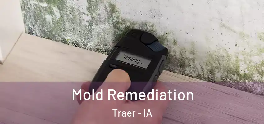  Mold Remediation Traer - IA