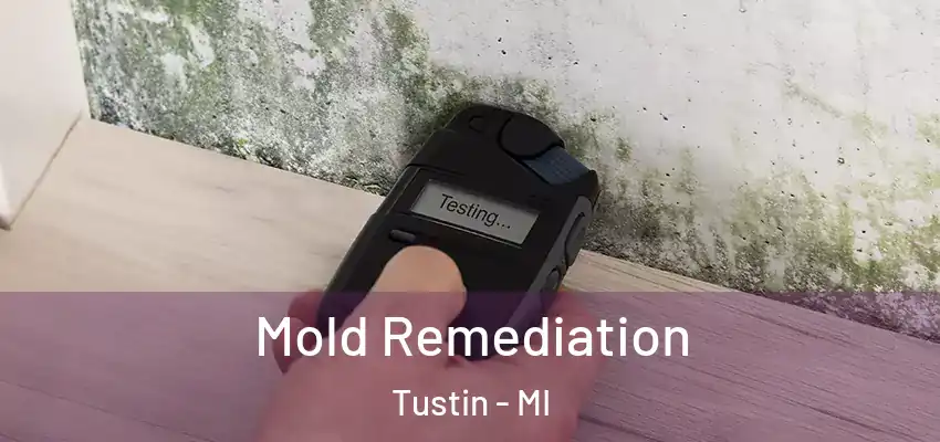 Mold Remediation Tustin - MI