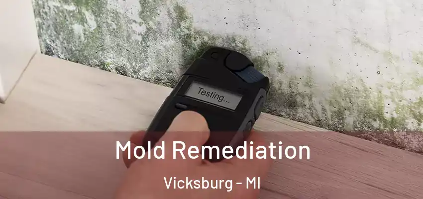  Mold Remediation Vicksburg - MI