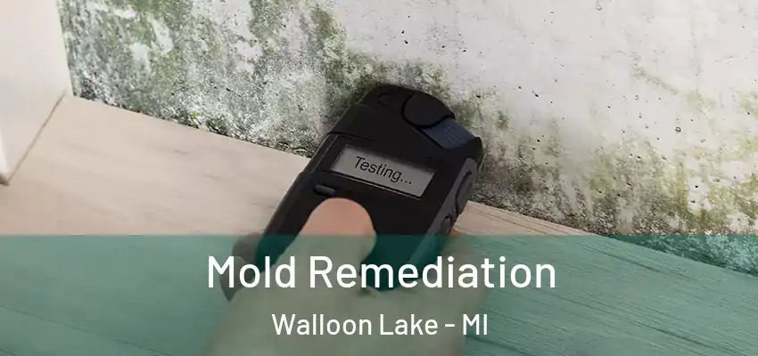  Mold Remediation Walloon Lake - MI