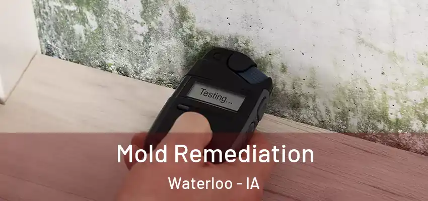  Mold Remediation Waterloo - IA
