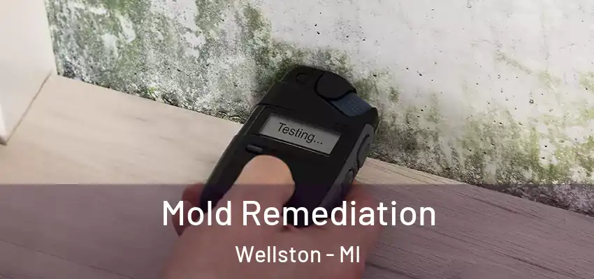  Mold Remediation Wellston - MI