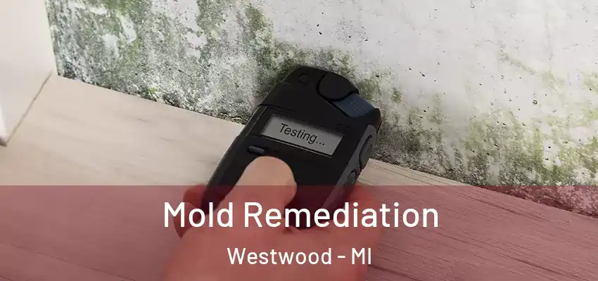  Mold Remediation Westwood - MI