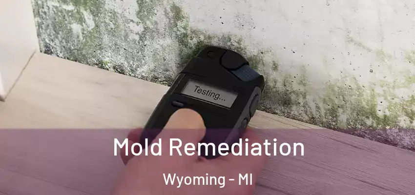  Mold Remediation Wyoming - MI