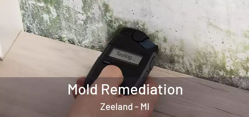 Mold Remediation Zeeland - MI