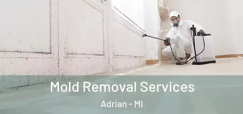  Mold Removal Services Adrian - MI