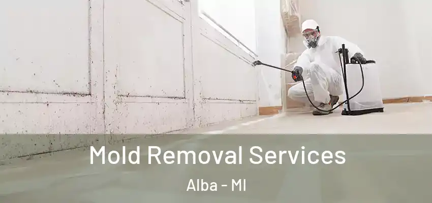  Mold Removal Services Alba - MI