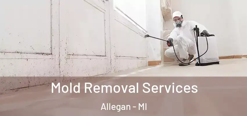  Mold Removal Services Allegan - MI