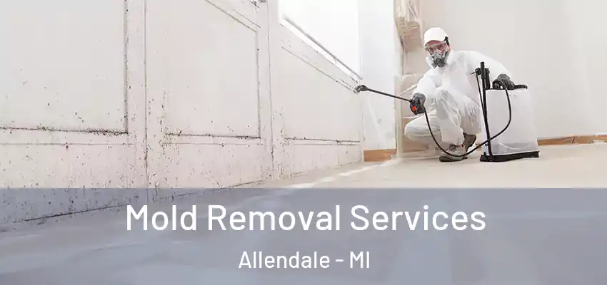 Mold Removal Services Allendale - MI