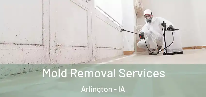  Mold Removal Services Arlington - IA