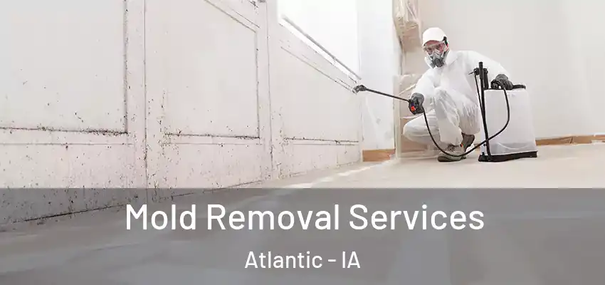  Mold Removal Services Atlantic - IA