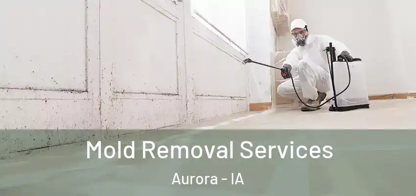  Mold Removal Services Aurora - IA