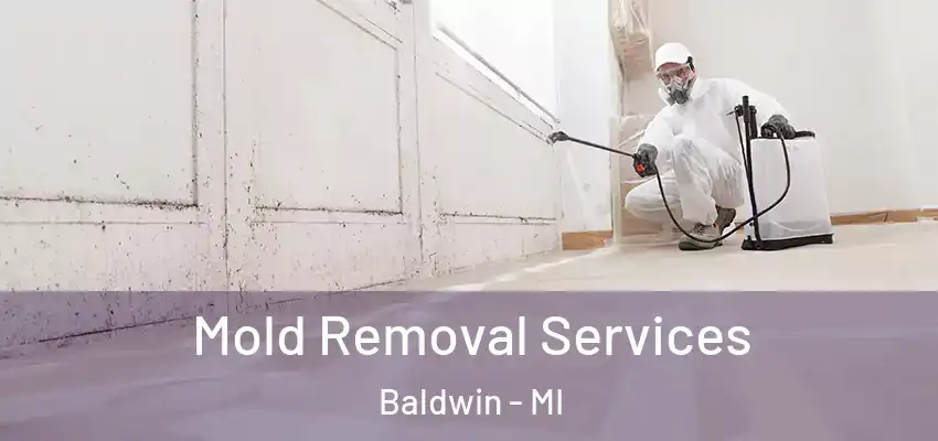  Mold Removal Services Baldwin - MI
