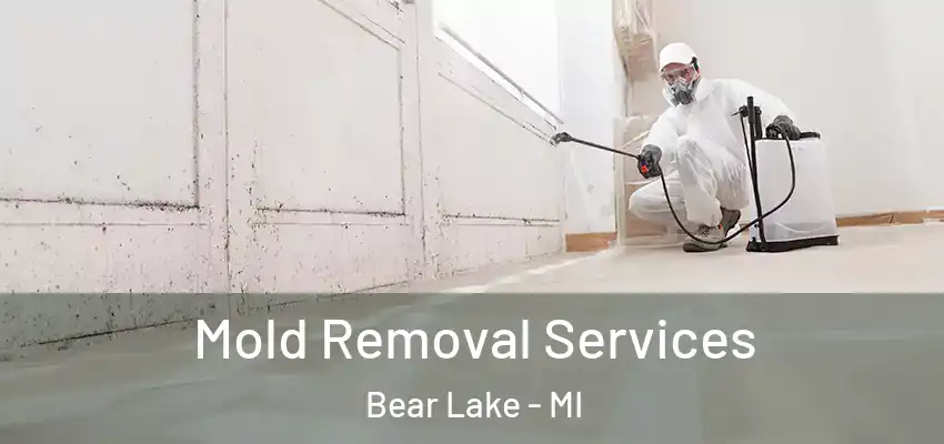  Mold Removal Services Bear Lake - MI