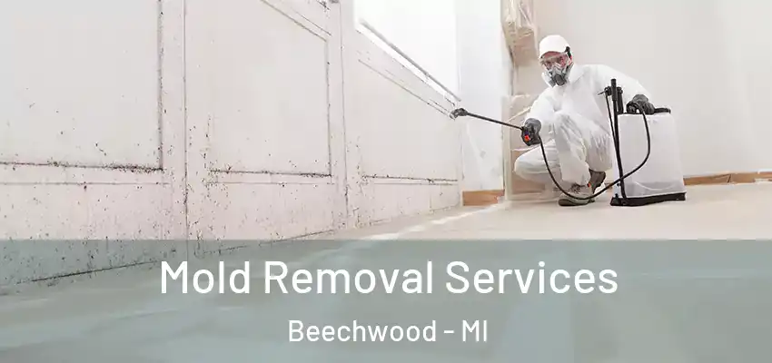  Mold Removal Services Beechwood - MI