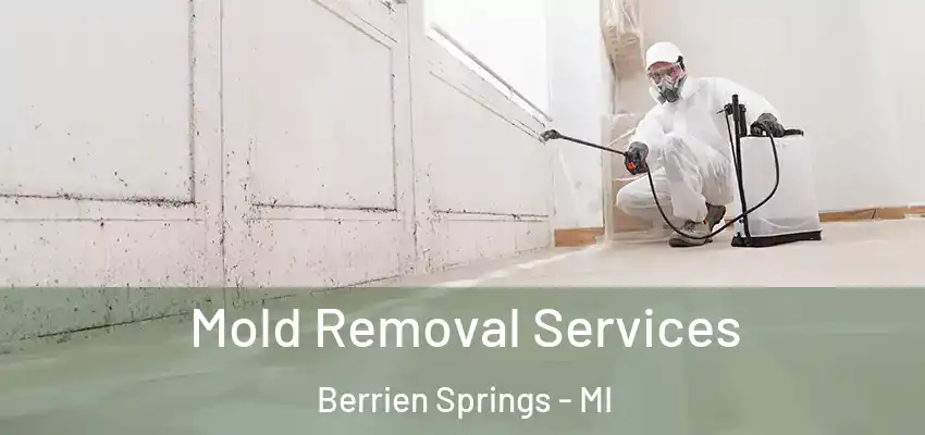  Mold Removal Services Berrien Springs - MI