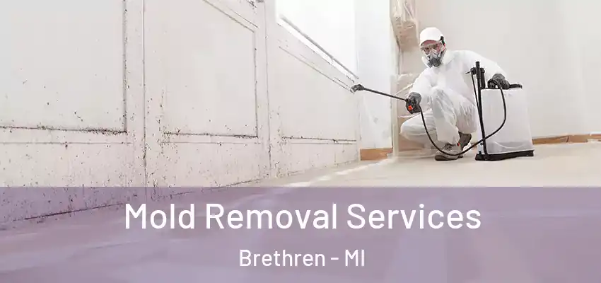  Mold Removal Services Brethren - MI