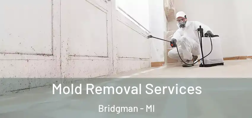  Mold Removal Services Bridgman - MI