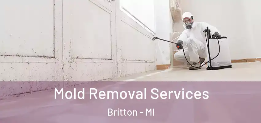  Mold Removal Services Britton - MI